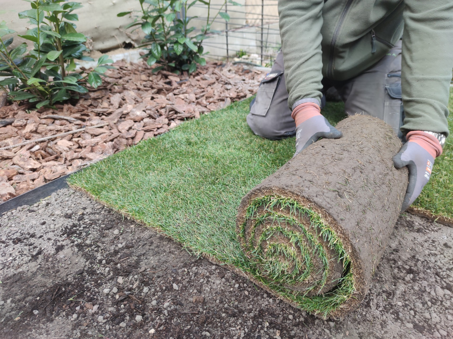 NÖVÉNYÜLTETÉS, FÜVESÍTÉS